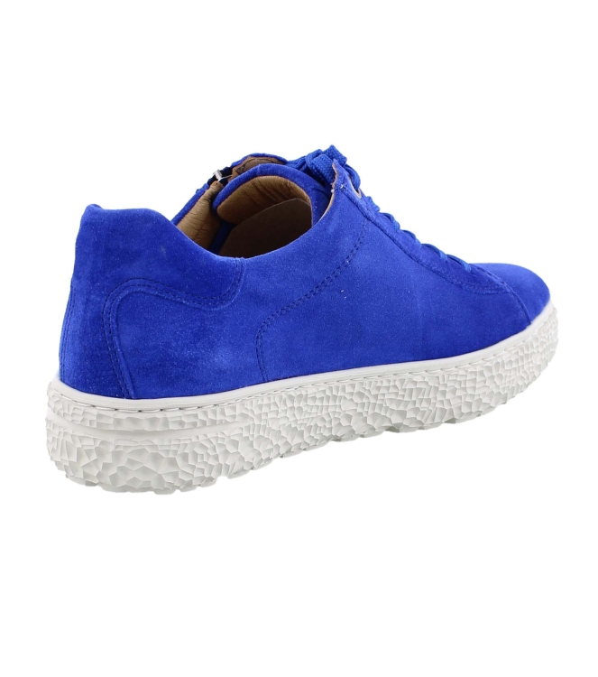 Hartjes 162.1401/39 Phil blauw