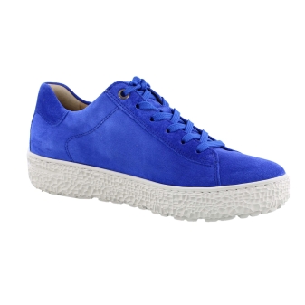 Hartjes 162.1401/39 Phil blauw