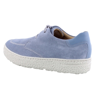 Hartjes 162.1427/31 Phil blauw