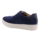 Hartjes 162.1427/31 Phil blauw