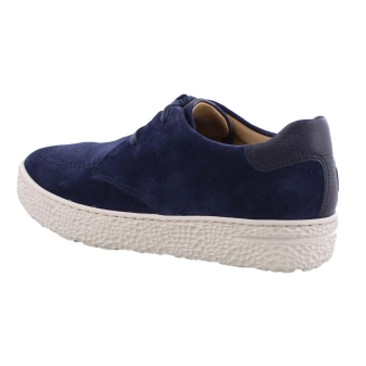 Hartjes 162.1427/31 Phil blauw