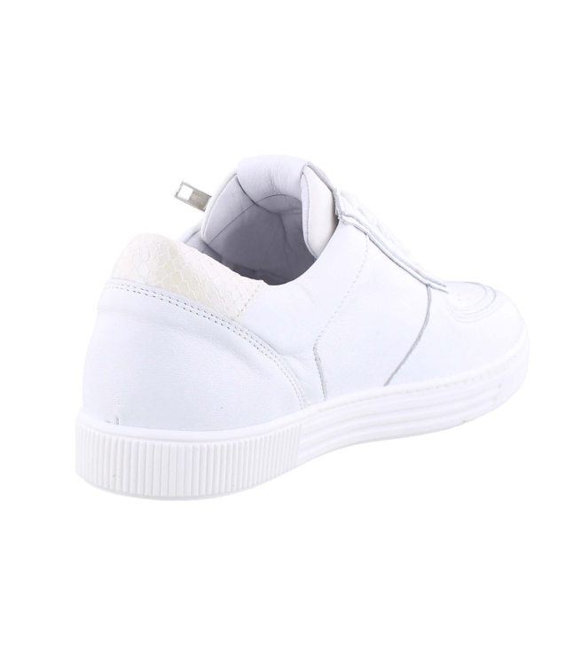 Aqa A8531 wit