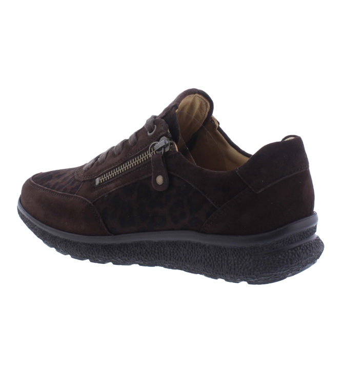 Hartjes 162.1617/34 bruin
