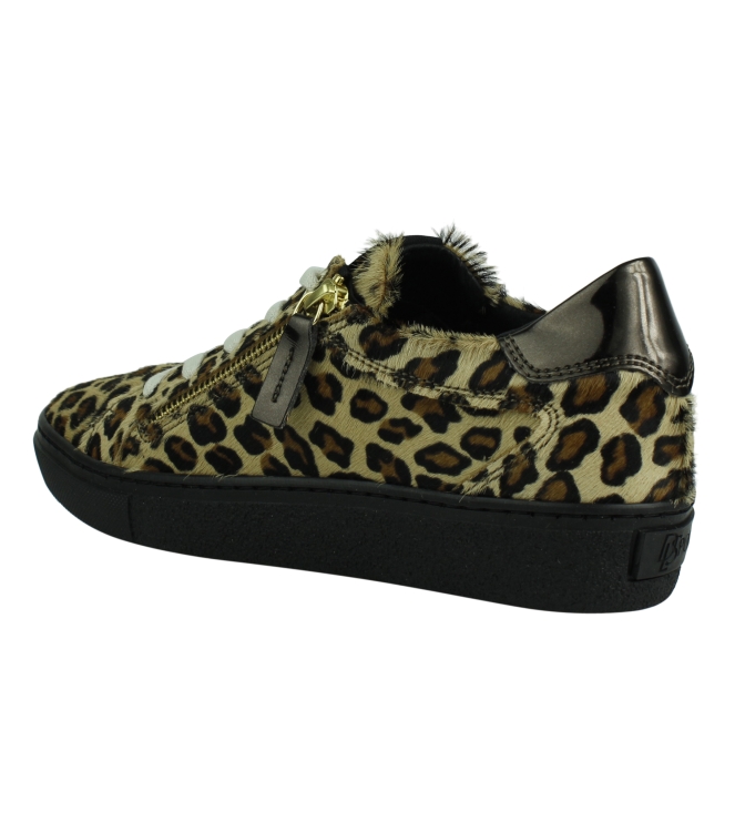DL Sport 4046 bruin