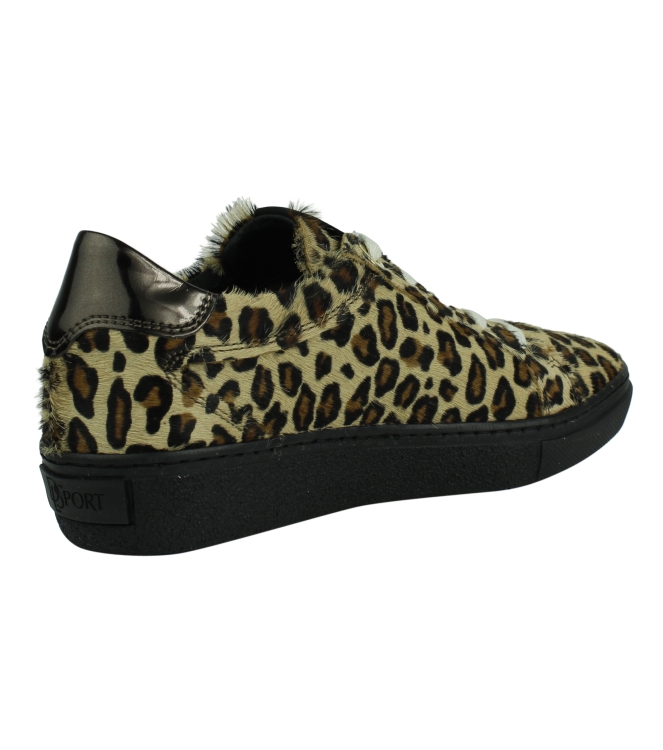 DL Sport 4046 bruin