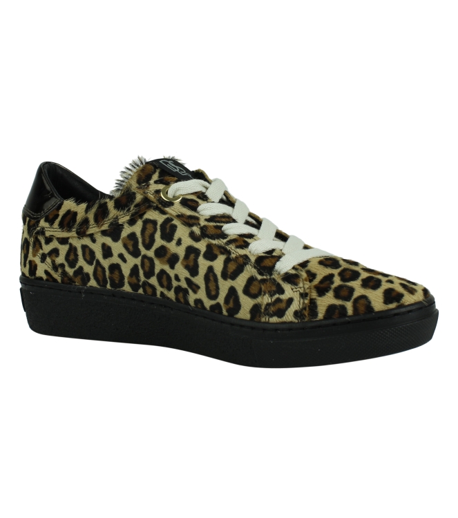 DL Sport 4046 bruin