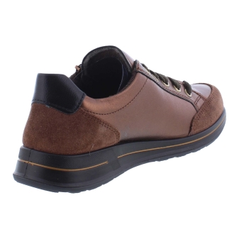 Ara 12-54801-85 bruin