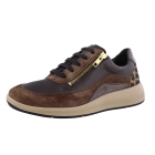 Solidus 56287 Halea bruin
