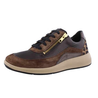 Solidus 56287 Halea bruin