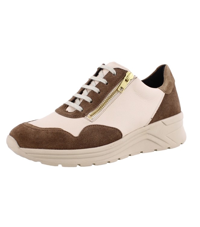 Solidus 46020 Holly bruin