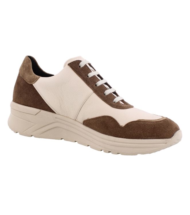 Solidus 46020 Holly bruin
