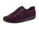 Ecco 206503 bordo