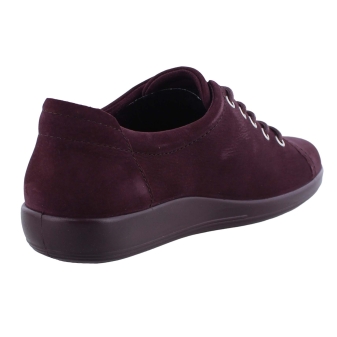 Ecco 206503 bordo