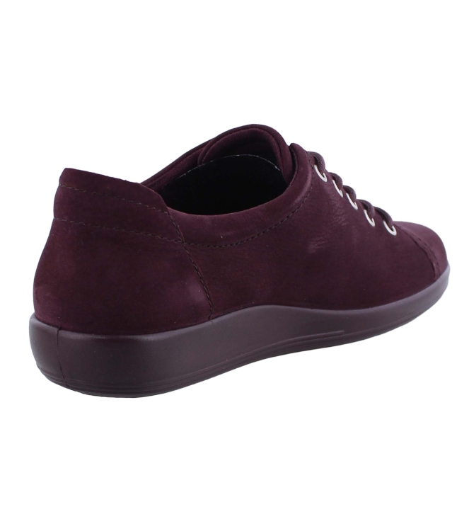 Ecco 206503 bordo