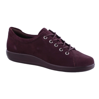 Ecco 206503 bordo