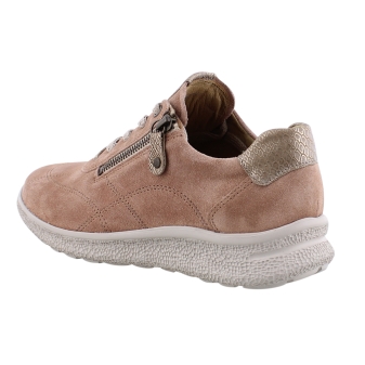 Hartjes 162.1602/34 rose