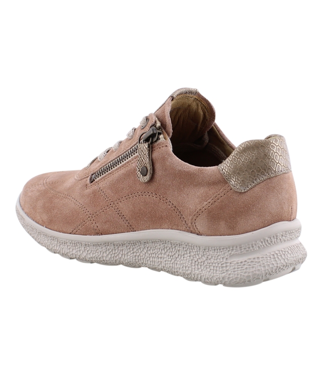 Hartjes 162.1602/34 rose