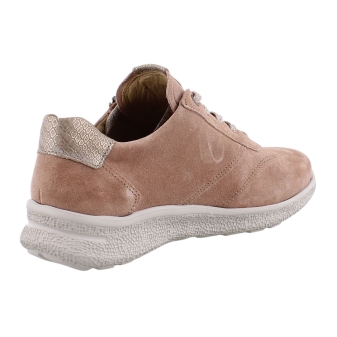 Hartjes 162.1602/34 rose