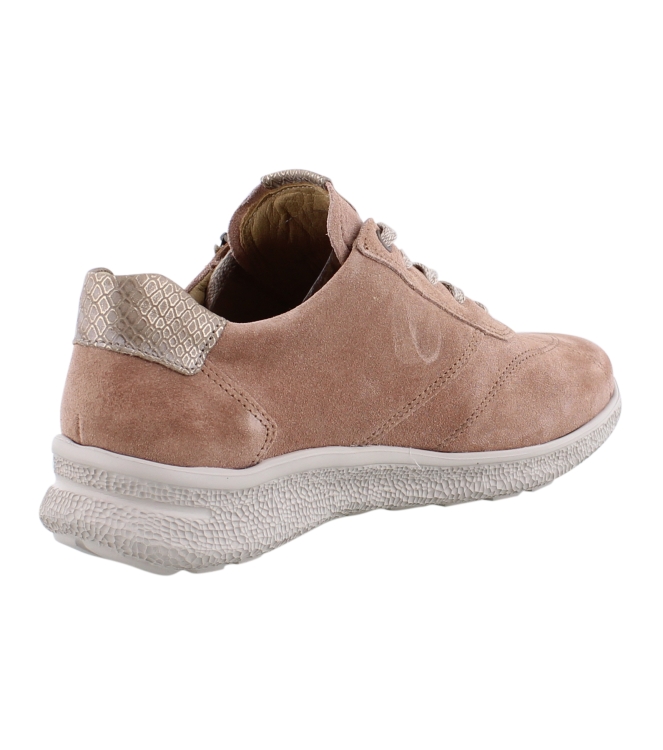 Hartjes 162.1602/34 rose