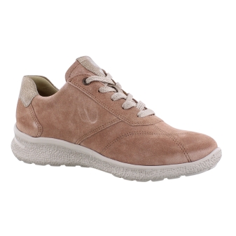 Hartjes 162.1602/34 rose