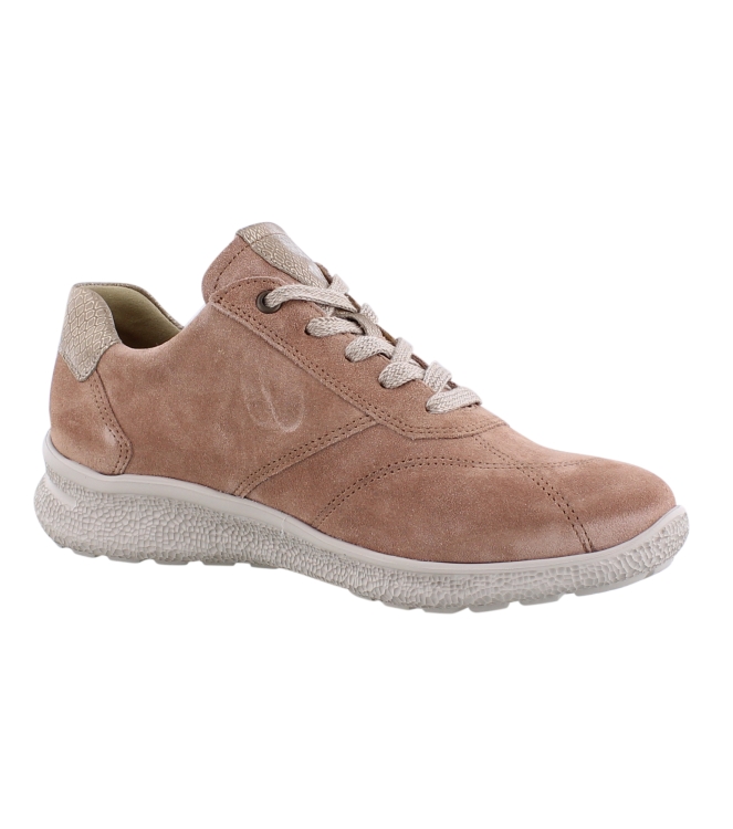 Hartjes 162.1602/34 rose