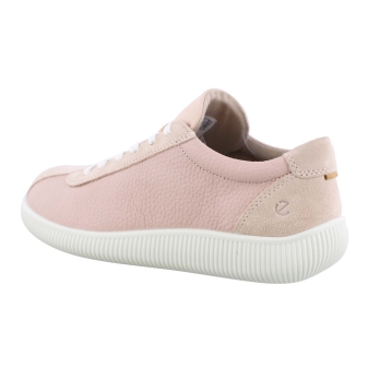 Ecco 220253 rose
