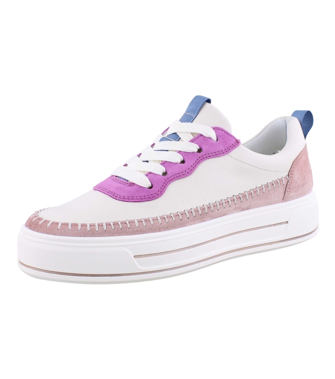 Ara 12-23024-16 rose