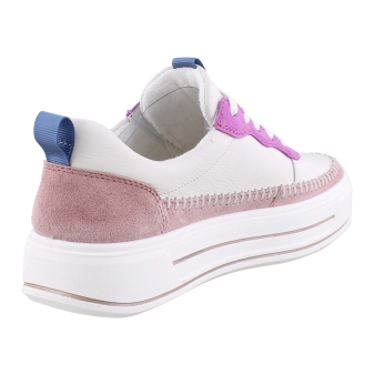 Ara 12-23024-16 rose
