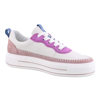 Ara 12-23024-16 rose
