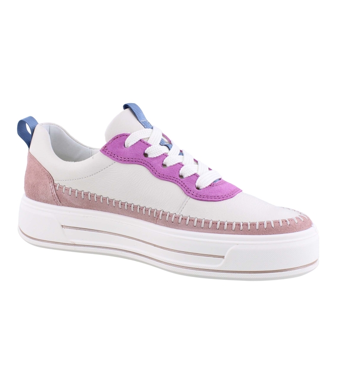 Ara 12-23024-16 rose