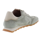 Hispanitas HV264502 Zinnia groen