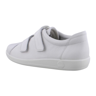 Ecco 206513 wit