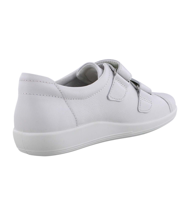 Ecco 206513 wit