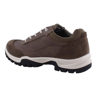 Ecco 811433 xpedition3 bruin