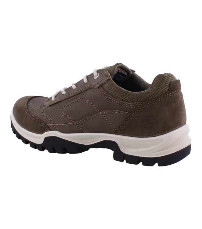 Ecco 811433 xpedition3 bruin