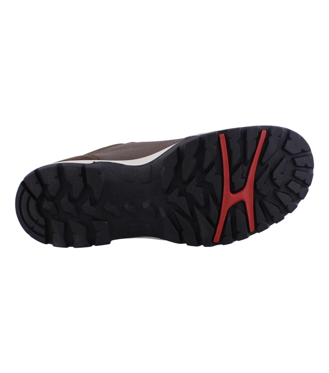 Ecco 811433 xpedition3 bruin