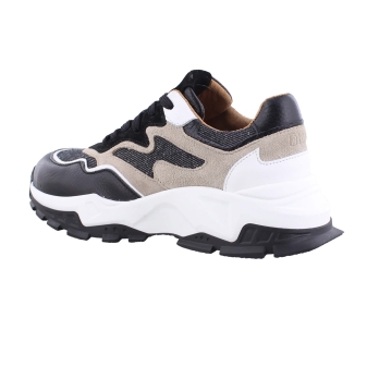 DWRS B10649-13 zwart