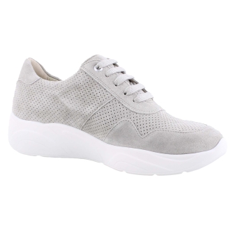 Solidus 66017 grijs