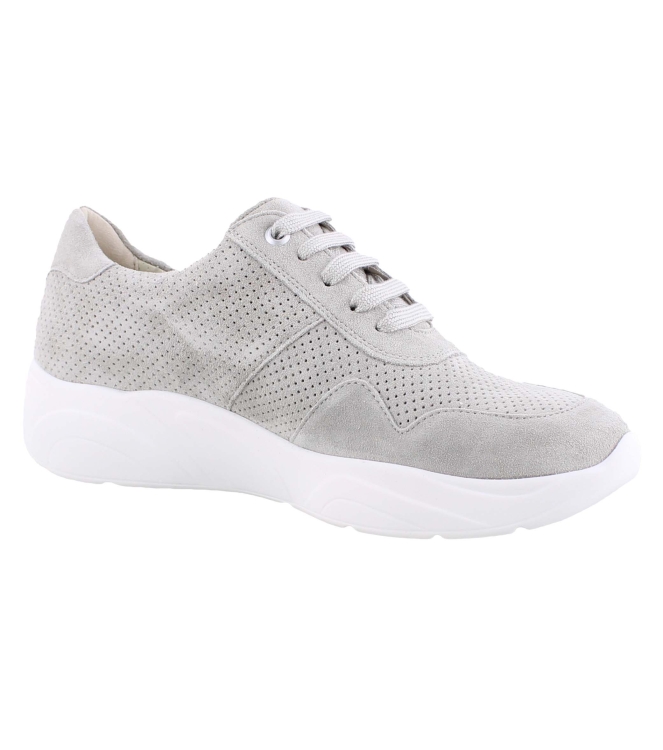 Solidus 66017 grijs