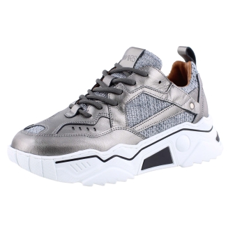 DWARS J5217-67 grijs