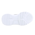 DWRS J5217-67 grijs