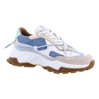 DWRS B10653 blauw