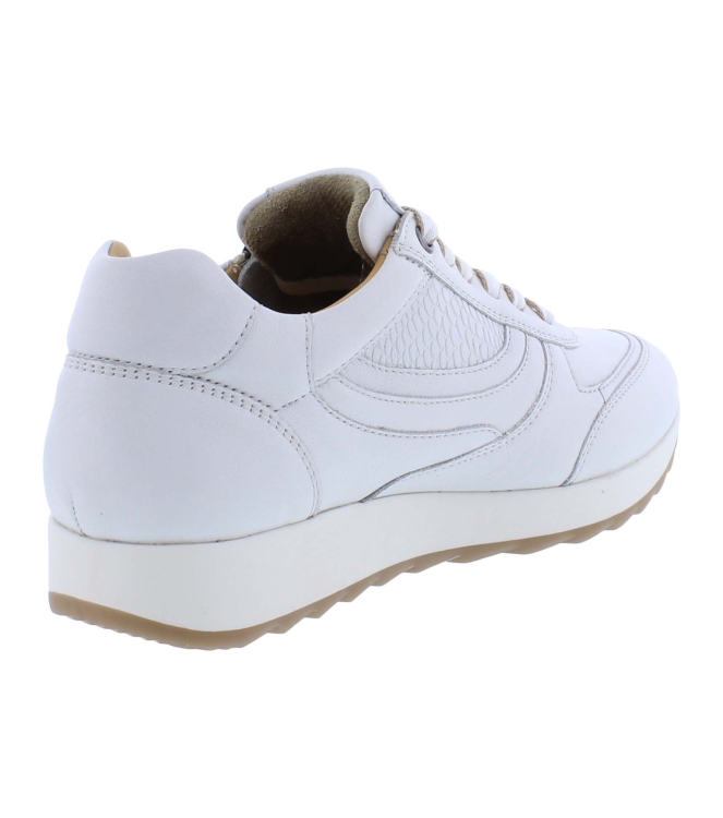 Helioform 250.024 wit