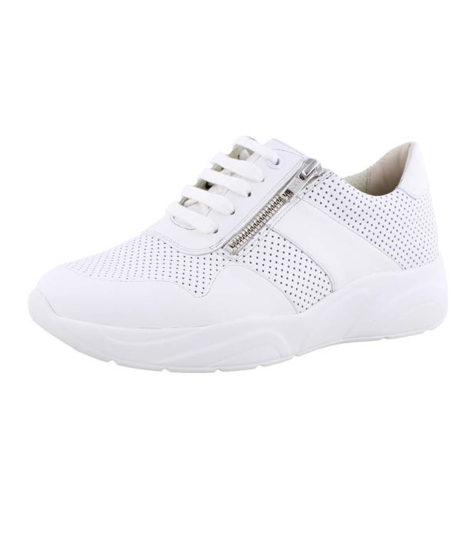 Solidus 66017 wit