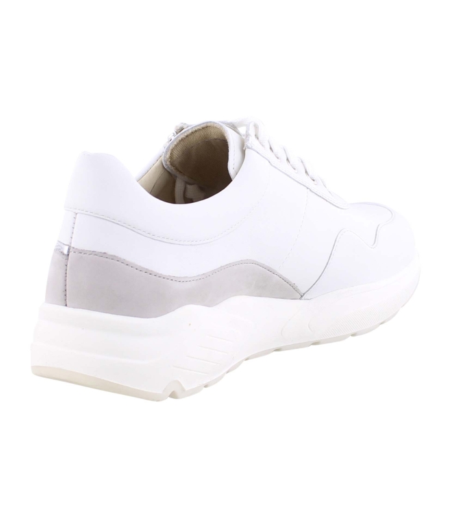 Solidus 66007 wit