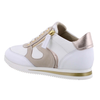 DL Sport 6251 wit