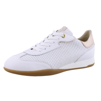DL Sport 6256 wit