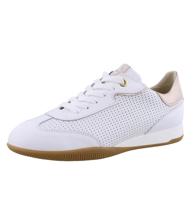 DL Sport 6256 wit