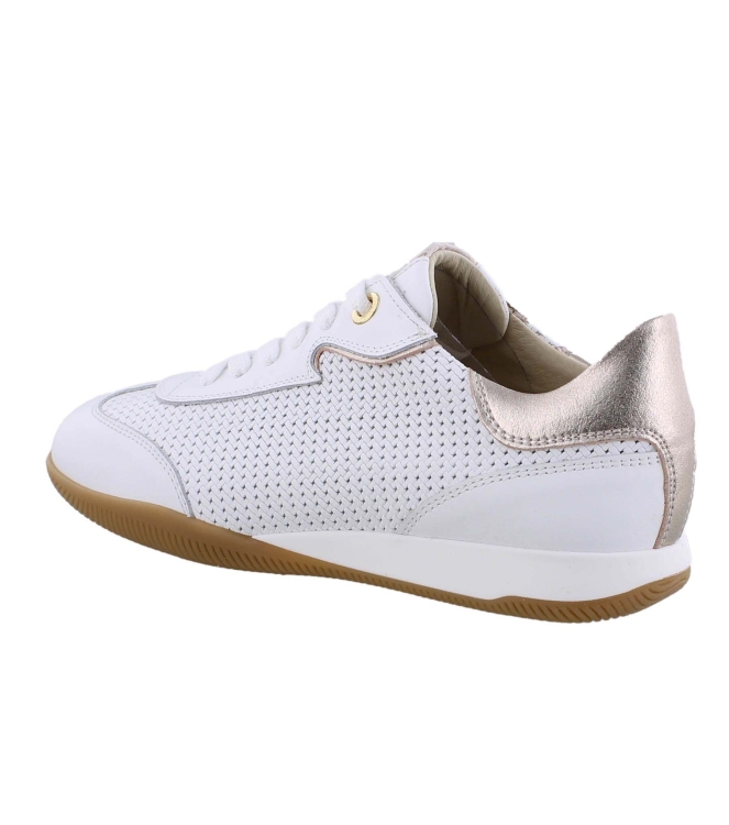DL Sport 6256 wit