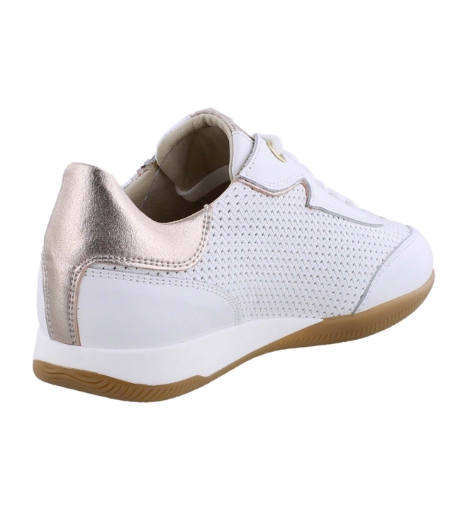 DL Sport 6256 wit